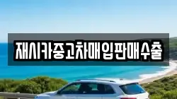 재시카중고차매입판매수출