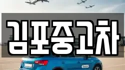 김포중고차