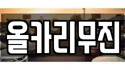 올카리무진