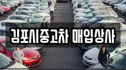 김포시중고차 매입상사