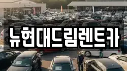 뉴현대드림렌트카