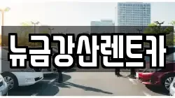뉴금강산렌트카