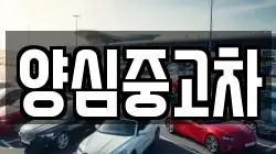 양심중고차
