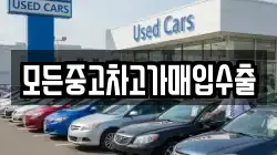모든중고차고가매입수출