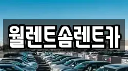 월렌트솜렌트카