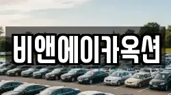 비앤에이카옥션