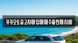 카카오토중고차매입매매수출판매시세
