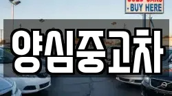양심중고차