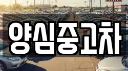 양심중고차