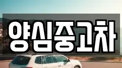 양심중고차