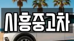 시흥중고차