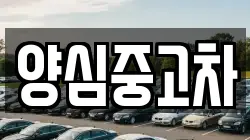 양심중고차