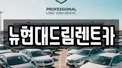 뉴현대드림렌트카