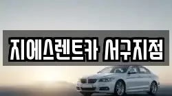 지에스렌트카 서구지점