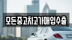 모든중고차고가매입수출