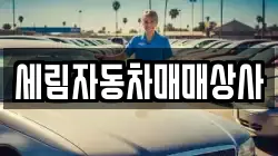 세림자동차매매상사