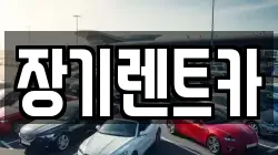 장기렌트카