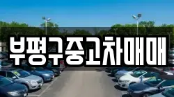 부평구중고차매매