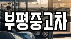부평중고차