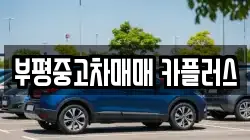 부평중고차매매 카플러스