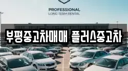부평중고차매매 플러스중고차