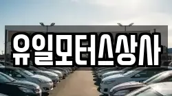 유일모터스상사