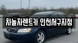 차놀자렌트카 인천서구지점