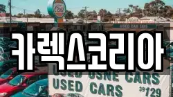 카렉스코리아