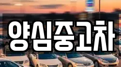 양심중고차