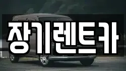 장기렌트카