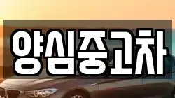 양심중고차