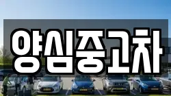 양심중고차
