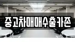 중고차매매수출카존