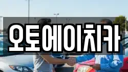 오토에이치카