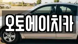오토에이치카