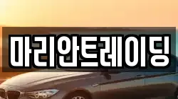 마리안트레이딩