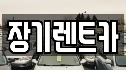 장기렌트카