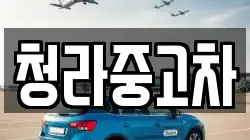 청라중고차