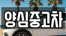 양심중고차