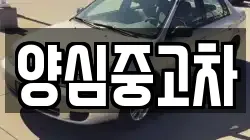 양심중고차