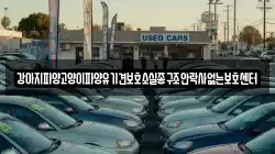 강아지파양고양이파양유기견보호소실종구조안락사없는보호센터