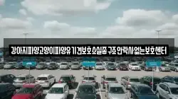 강아지파양고양이파양유기견보호소실종구조안락사없는보호센터