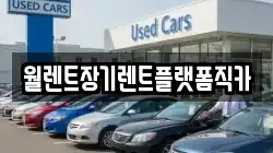 인천광역시 옹진군 영흥면 렌트카,단기렌트카,장기렌트카,중고차,중고차매매,중고차매입
