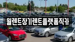 인천광역시 옹진군 자월면 렌트카,단기렌트카,장기렌트카,중고차,중고차매매,중고차매입