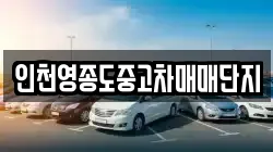 인천영종도중고차매매단지