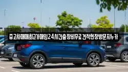 중고차매매최고가매입24시간출장비무료견적현장방문지누카