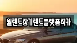 인천 강화군 내가면 렌트카,단기렌트카,장기렌트카,중고차,중고차매매,중고차매입