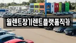 인천 강화군 화도면 렌트카,단기렌트카,장기렌트카,중고차,중고차매매,중고차매입