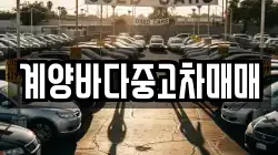 계양바다중고차매매