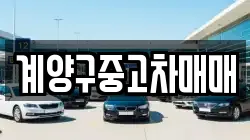 계양구중고차매매